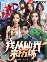 我从仙界穿回来了免费阅读
