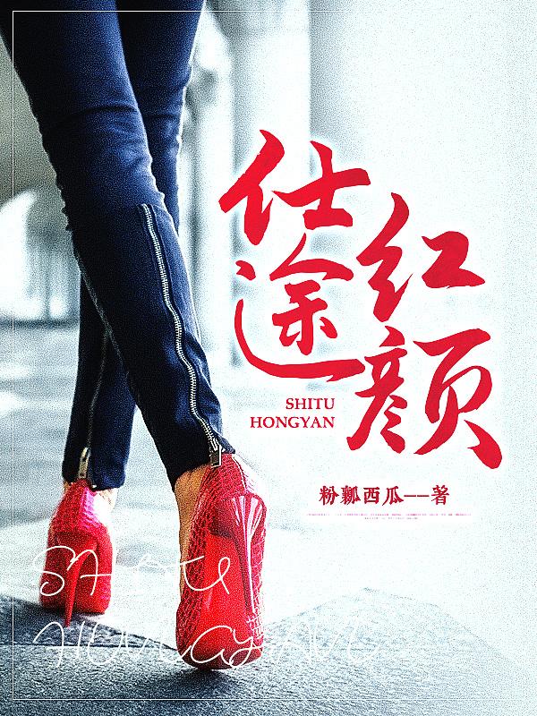 仕途红颜在线阅读