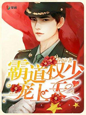 霸道权少宠上瘾全文免费阅读