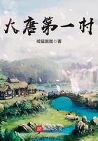 大唐第一村TXT