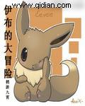 伊布全部
