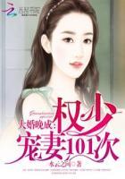婚宠之2权少独占权睿