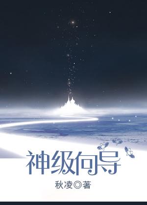 神级向导+番外 作者秋凌
