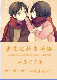择木而栖二免费阅读