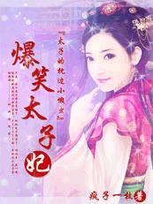 爆笑太子妃影子