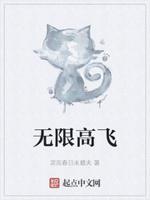 无限飞行新手教程