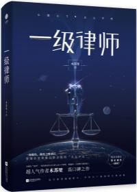 一级律师金句