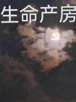 产科生命树是什么