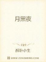 月黑夜杨朔节选阅读理解答案