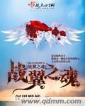 翼之梦 战魂