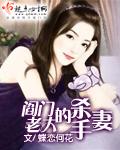 闫老大的杀手妻