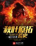 秋叶原爆破攻略