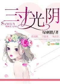 三寸光阴是什么