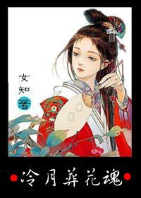 冷月葬花魂的前一句是什么