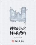 神探细节解读