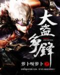 大盗贼电影2006在线