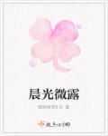 夜幕低垂而归什么意思