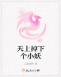 天上掉下个小萌妻免费阅读