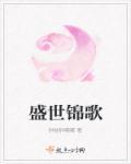 盛世锦华什么意思
