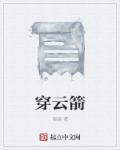 穿云箭快手多少钱