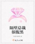 隔壁家的总裁你清醒点txt