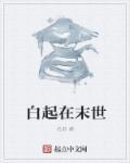 白起是主角的