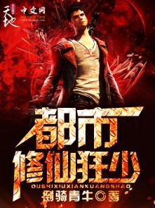 都市修仙狂少下书网