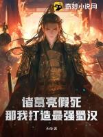 诸葛亮假节