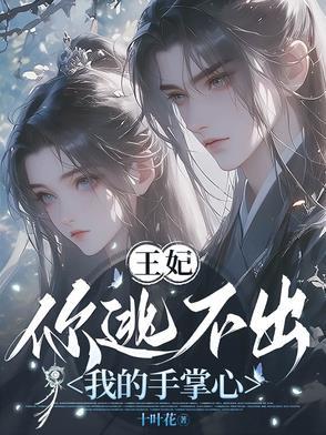 妃逃不可王爷我们不约