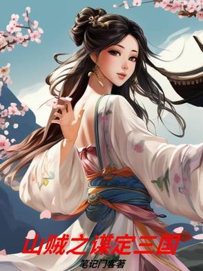 三国 山贼