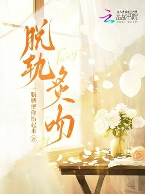 脱轨全文免费阅读全文