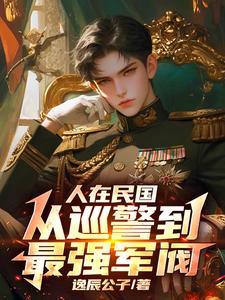 在民国当军阀有系统的