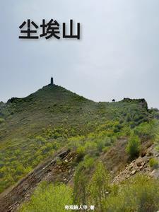 尘埃山原著