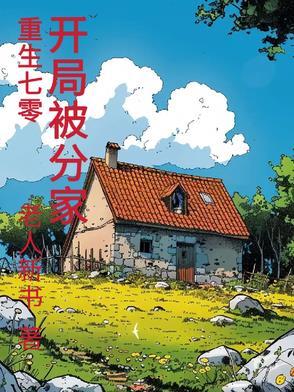 重生七十年代分家