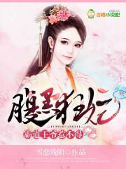腹黑王爷霸道王妃男主是谁