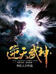 逆天武神txt