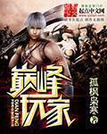 巅峰玩家新笔趣阁