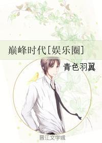 巅峰时代电视剧视频