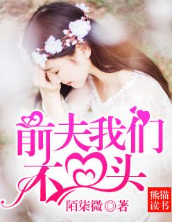 前夫我不嫁给你免费