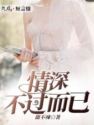 情深不过了了第11章