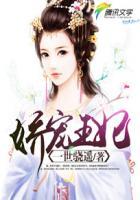 娇宠王妃沈妱免费