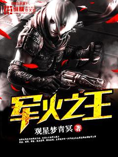军火之王叶源全文免费阅读