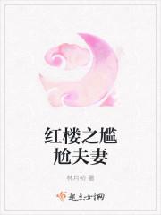 穿越红楼尴尬夫妻