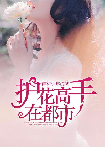 女总裁得巅峰高手