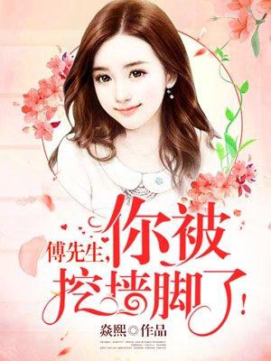 傅先生短剧