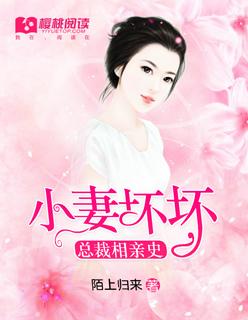 总裁相亲记电视剧
