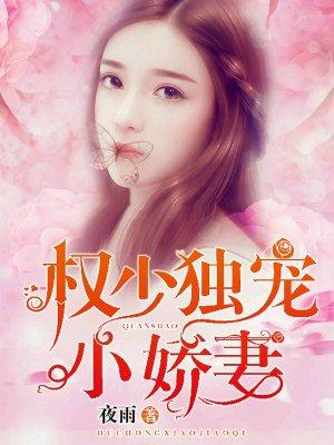 权少独宠小娇妻 夜雨