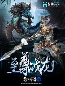 至尊战王小龙鱼著