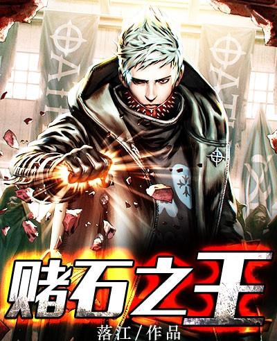 赌石之王541
