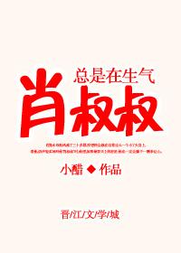 肖叔叔免费